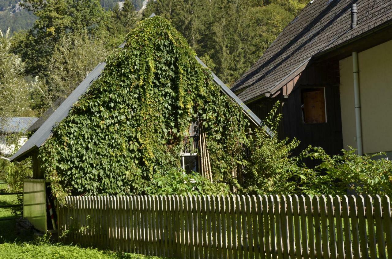 Haus Rosina Villa Admont Exterior photo